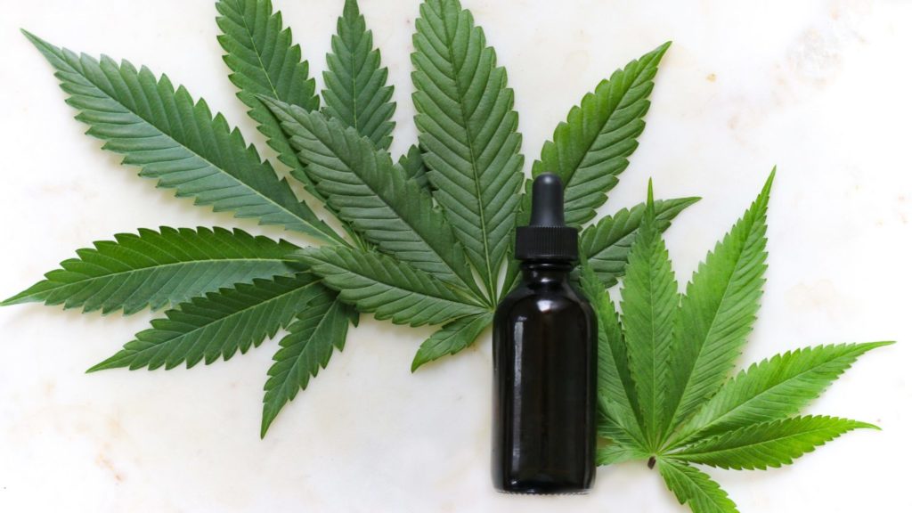 Hemp Direct - Tincture Bottle and Leaves